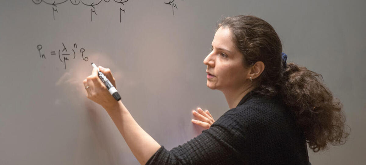 Photo of Vahideh Manshadi